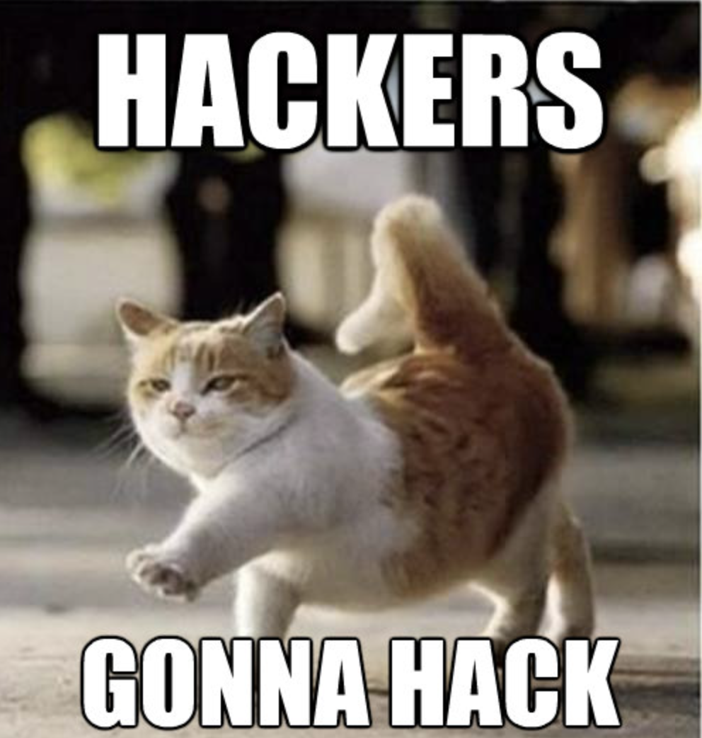 Hackers gonna hack